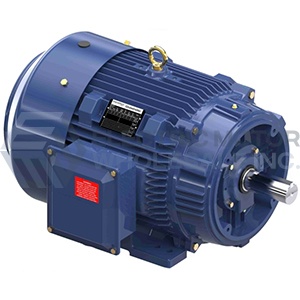 Image for 40HP MARATHON 3565RPM 324TSC TEFC 3PH GLOBETROTTER MOTOR GT1233A